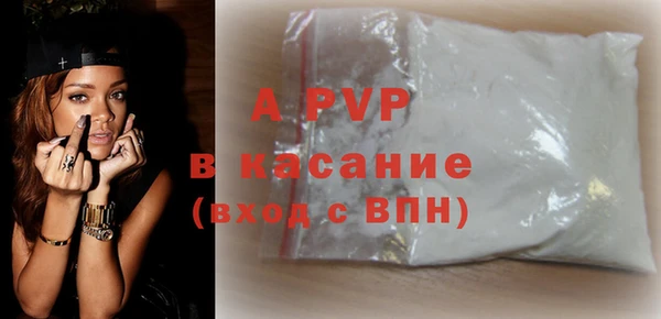 стафф Касимов