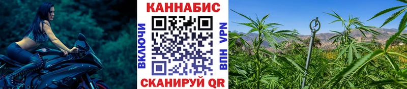 OMG онион  даркнет официальный сайт  Бошки марихуана конопля  Курчатов 